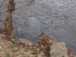 P1220139_200.jpg
