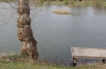 ponton_200.jpg