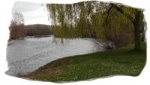 bords-allier_200.jpg
