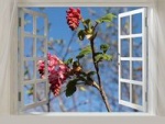 fenetre fleur_200.jpg