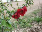 IMG_7148_200.jpg