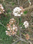 IMG_7176_200.jpg