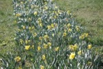 IMG_9840_200.jpg