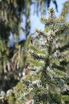 IMG_9848_200.jpg