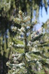 IMG_9849_200.jpg