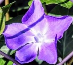 IMG_9857_200.png